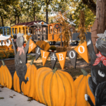 DiDonato Family Fun Center