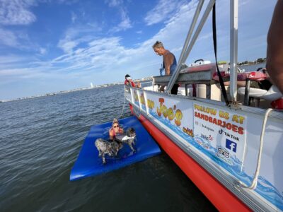 10% Off Cruise At Sandbar Joe's - Image 3